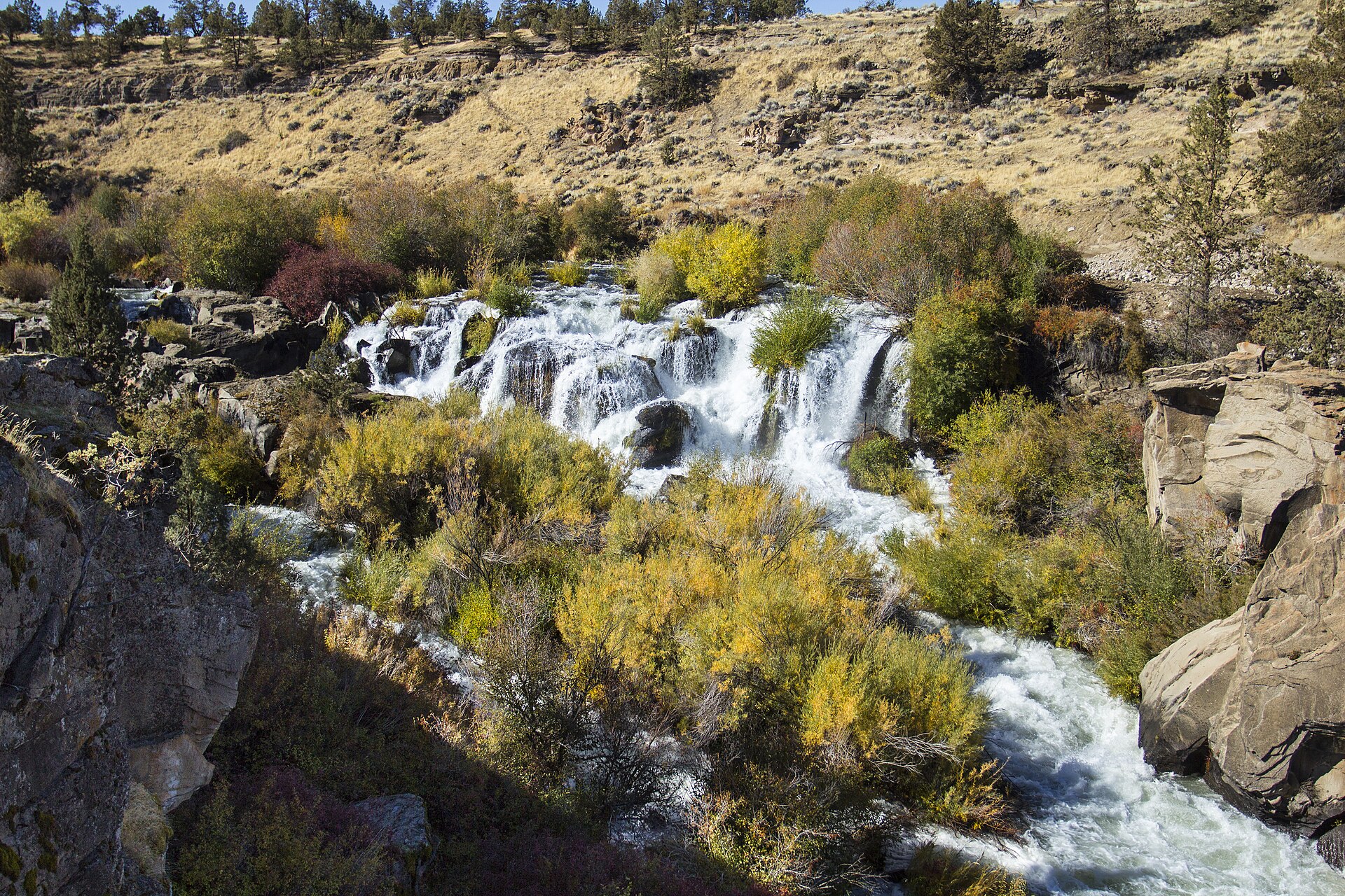 Deschutes River (Lower)