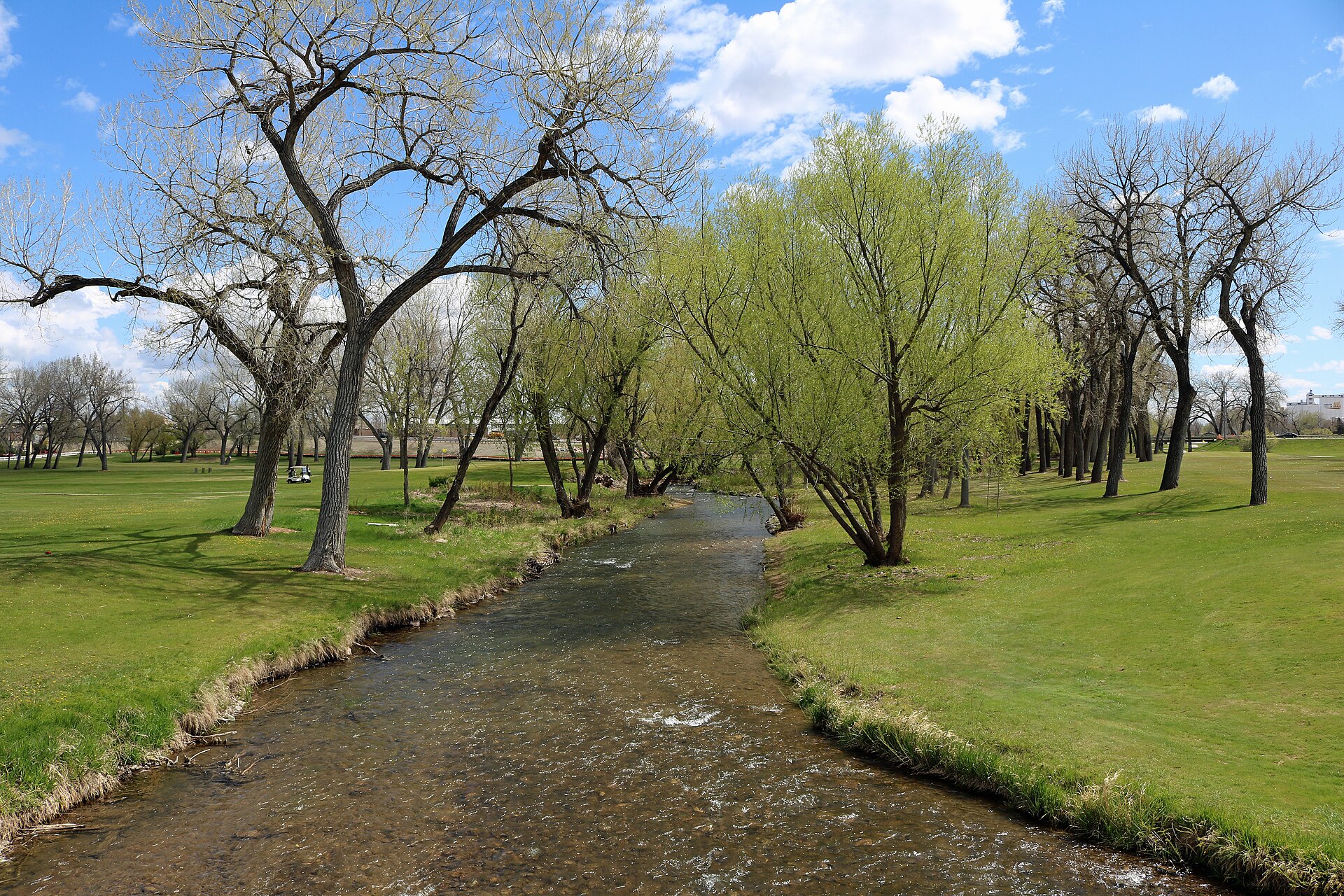 Rapid Creek