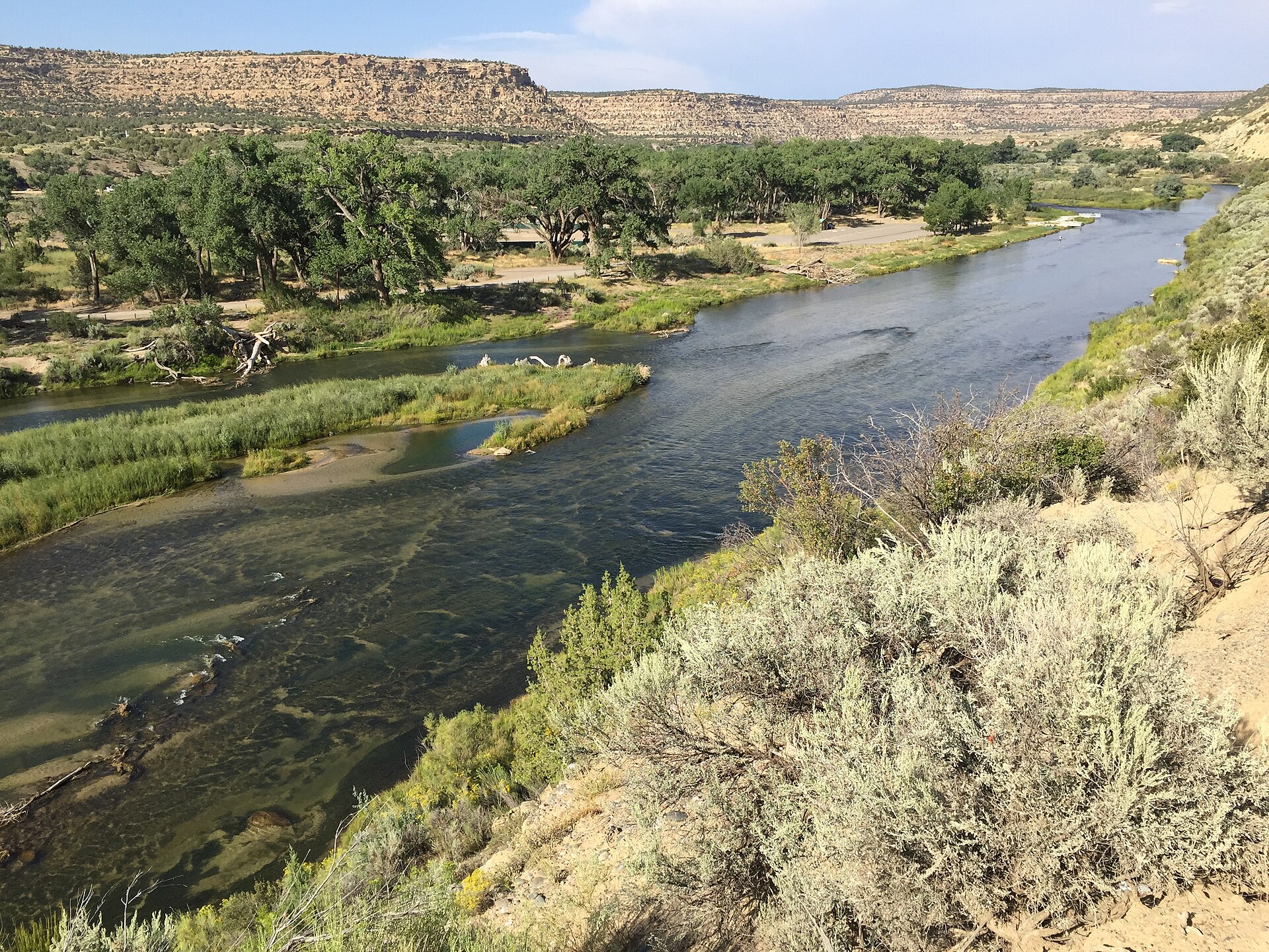 San Juan River (below Navajo Dam)