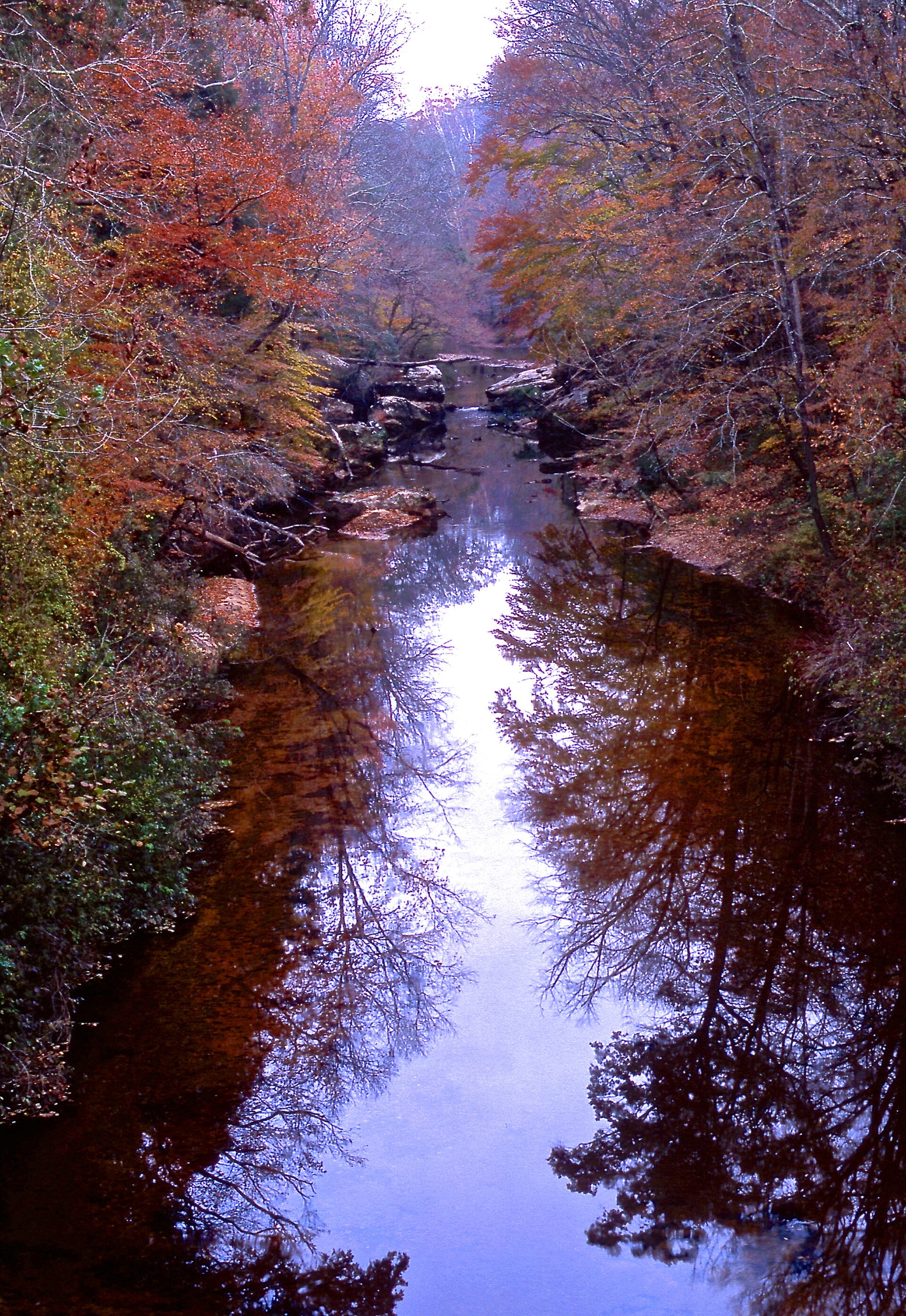 Fly fishing in Alabama
