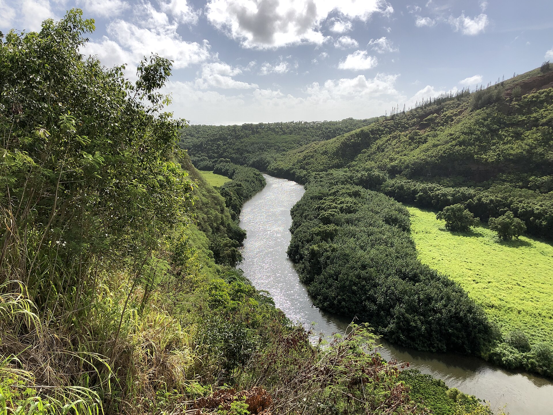 Fly fishing in Hawaii