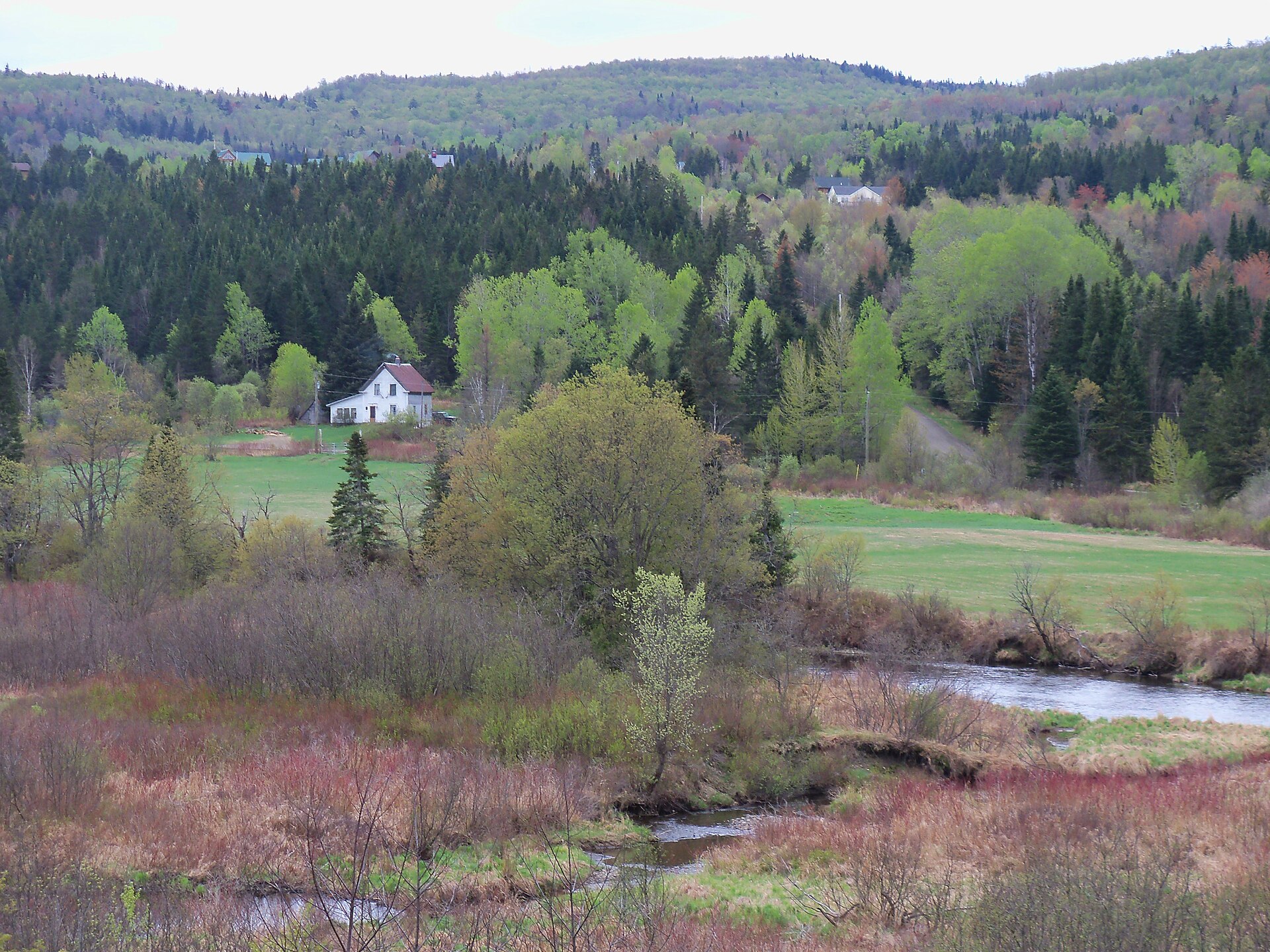 Fly fishing in New Hampshire