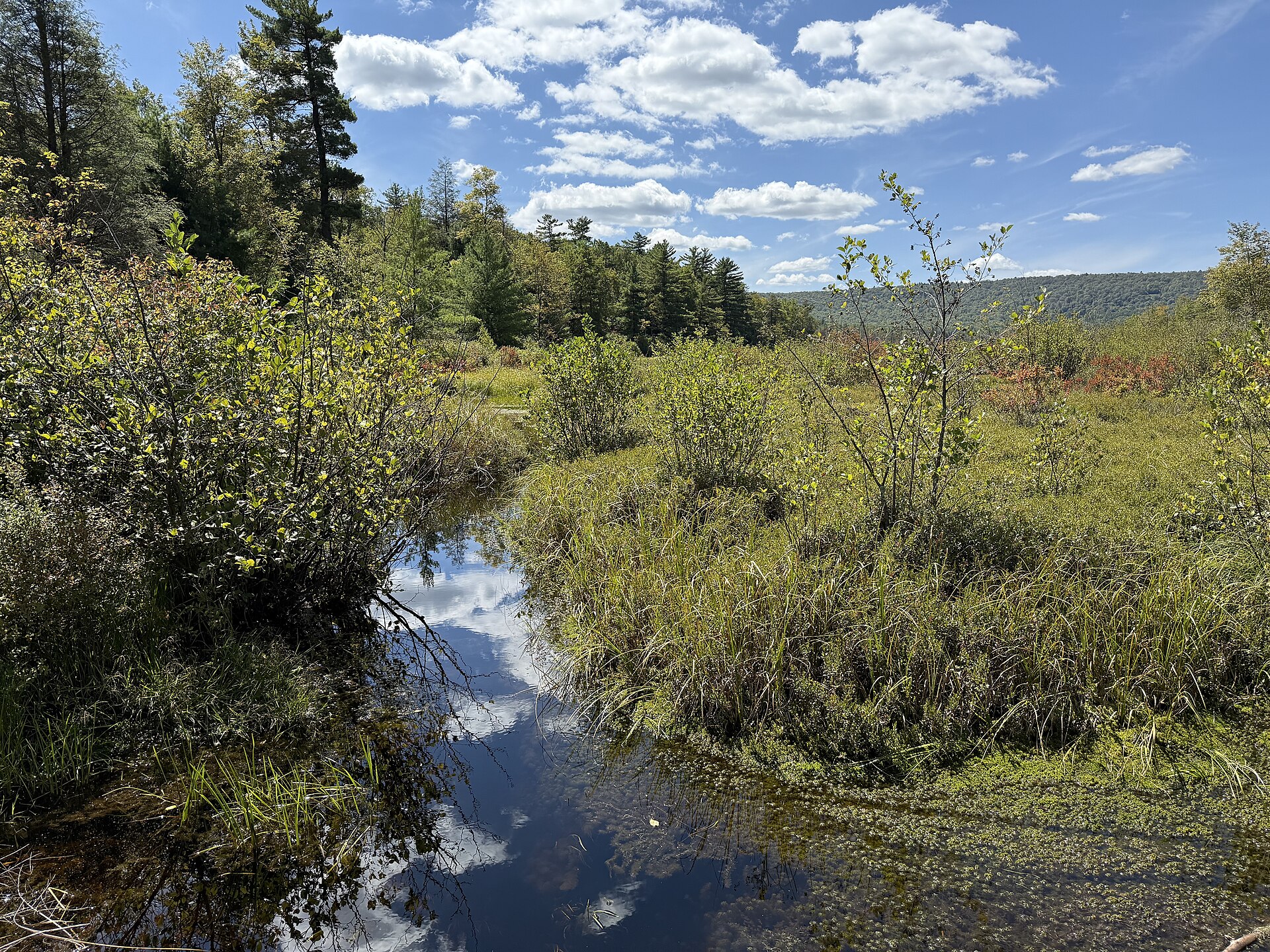 Fly fishing in Pennsylvania